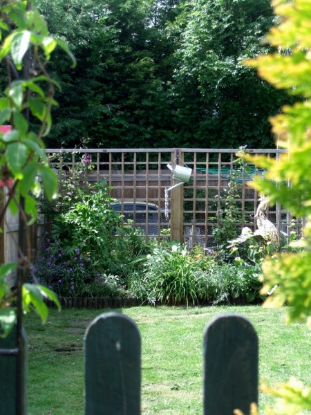 CIMG0039 (2) (768x1024).jpg