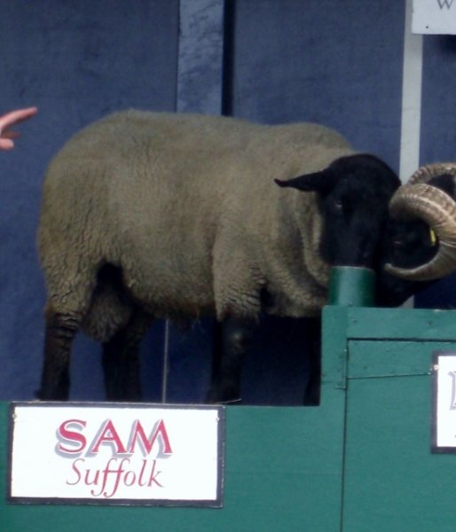 CIMG0039 (549x640).jpg