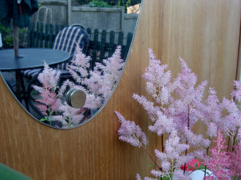 CIMG0040 (1024x768).jpg