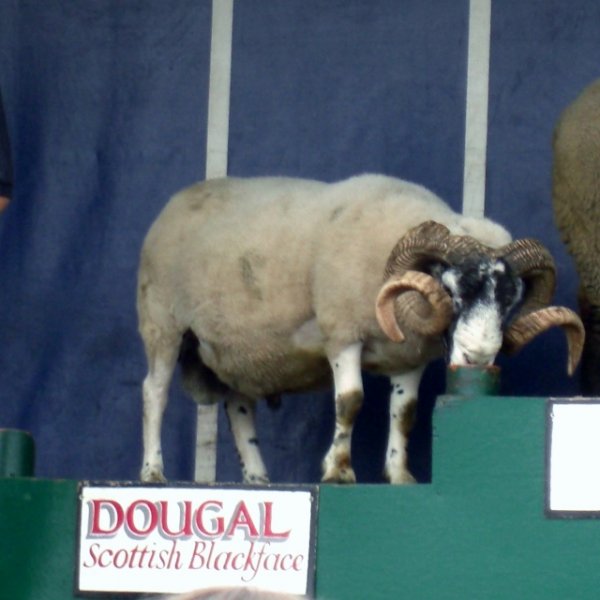 CIMG0041 (640x640).jpg