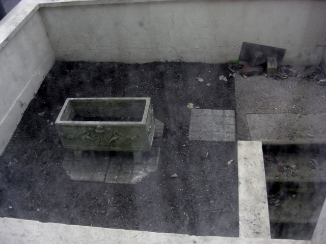 CIMG0042 (640x480).jpg