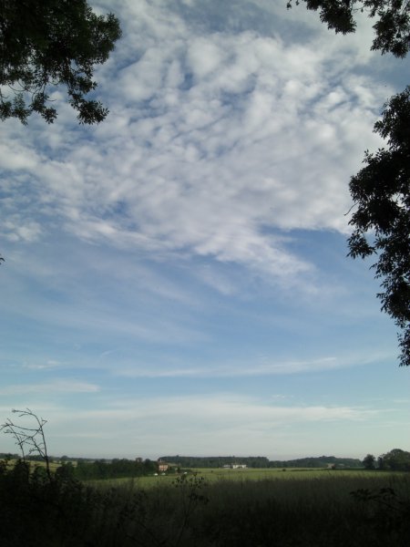 CIMG0046 (768x1024).jpg