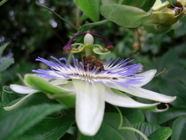 CIMG0047 (640x480).jpg