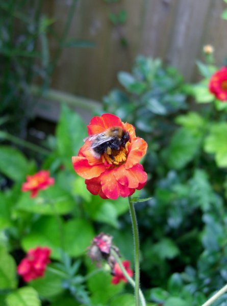 CIMG0047 (761x1024).jpg