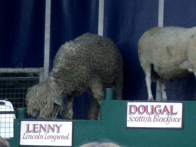 CIMG0049 (640x479).jpg