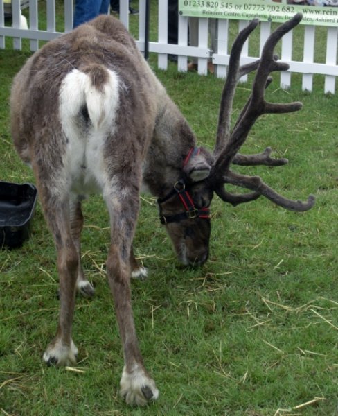 CIMG0056 (521x640).jpg