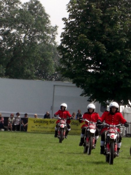 CIMG0064 (479x640).jpg