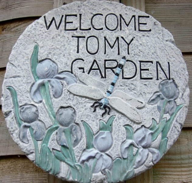 CIMG0070 (640x608).jpg