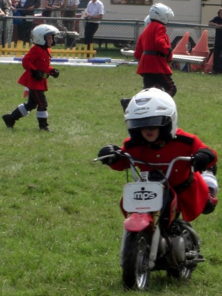 CIMG0092 (480x640).jpg