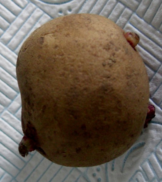 CIMG0104 (712x800).jpg