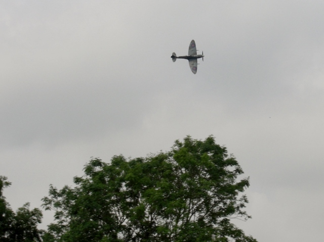 CIMG0106 (640x479).jpg