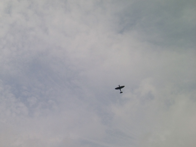 CIMG0109 (640x479).jpg