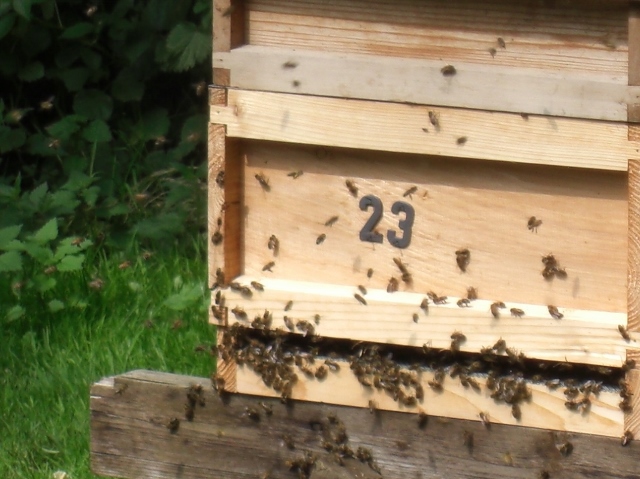 CIMG0112 (640x479).jpg