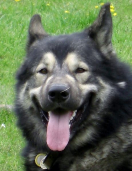 CIMG0124 (492x640).jpg