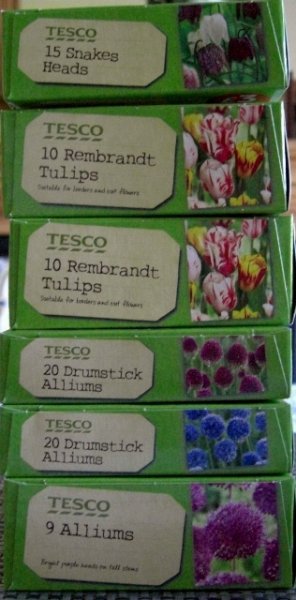 CIMG0224 (316x640).jpg