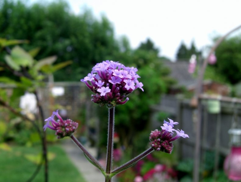 CIMG0280 (1024x776).jpg