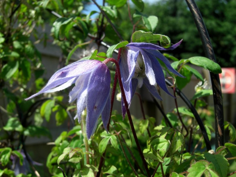 CIMG0328 (1024x768).jpg