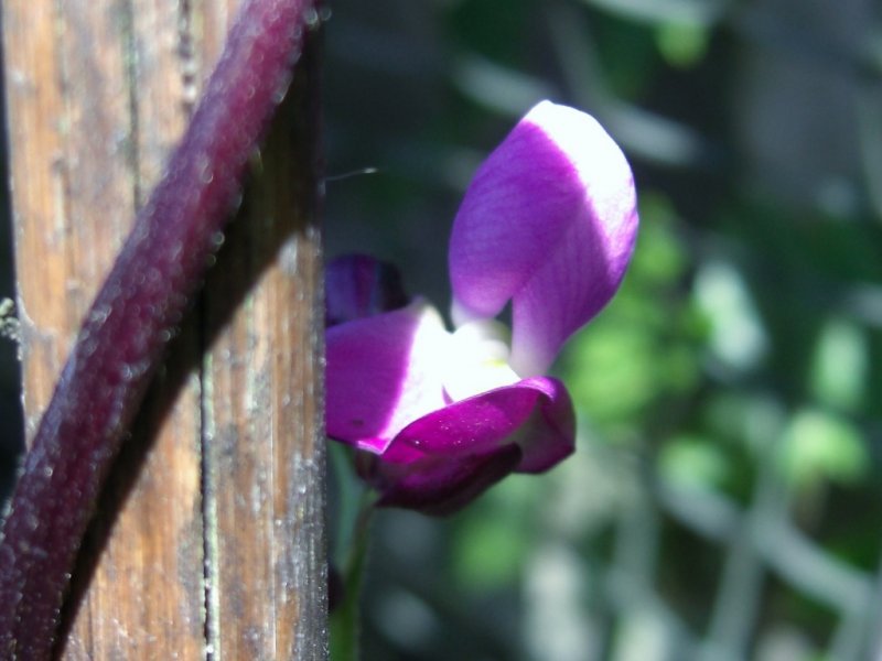 CIMG0341 (1024x768) (2).jpg