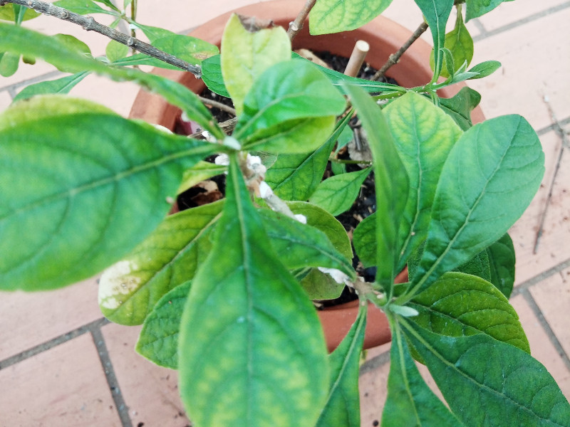 Clero Ugan 20 Sep 22.jpg