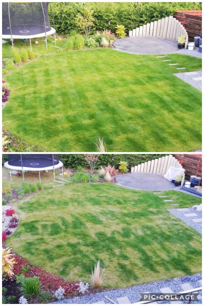 Collage 2020-05-11 18_40_20.jpg