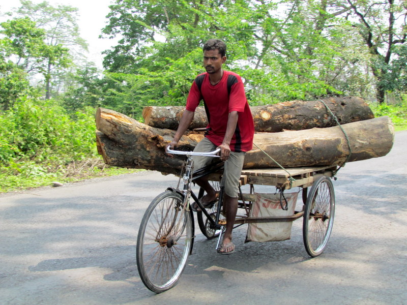 COLLECTING  TIMBER  HEAVY  LOADS 17-04-2011 10-26-19.JPG