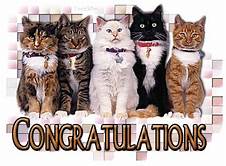 Congrat Cats.jpeg