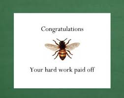 CONGRATS BEE-your hard work paid off.jpg
