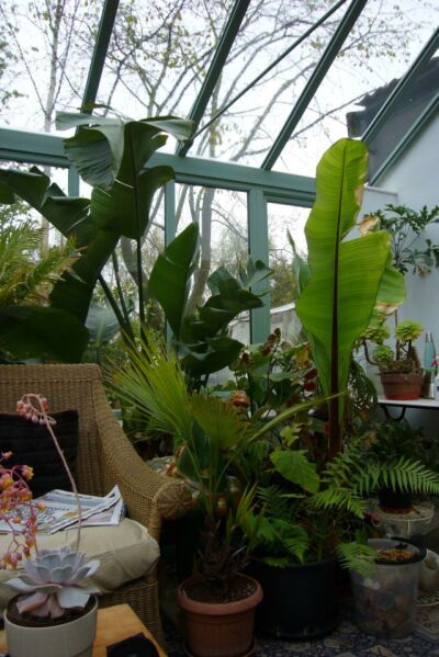 conseravtory.jpg
