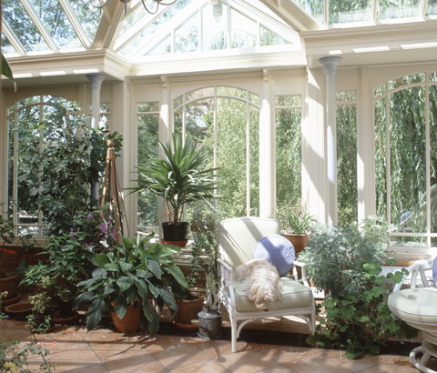 Conservatory plant Vale Garden Houses.jpg