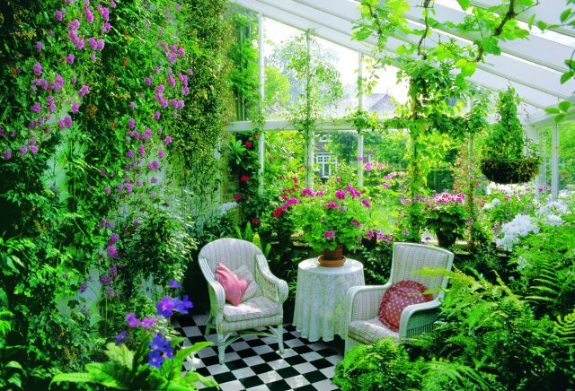 conservatory-plants[1].jpg