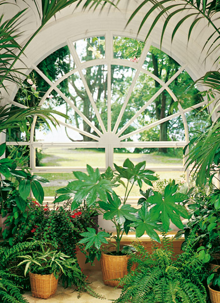 conservatory-plants-mural[1].jpg