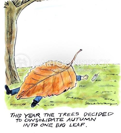 Consolidate Autumn.jpg