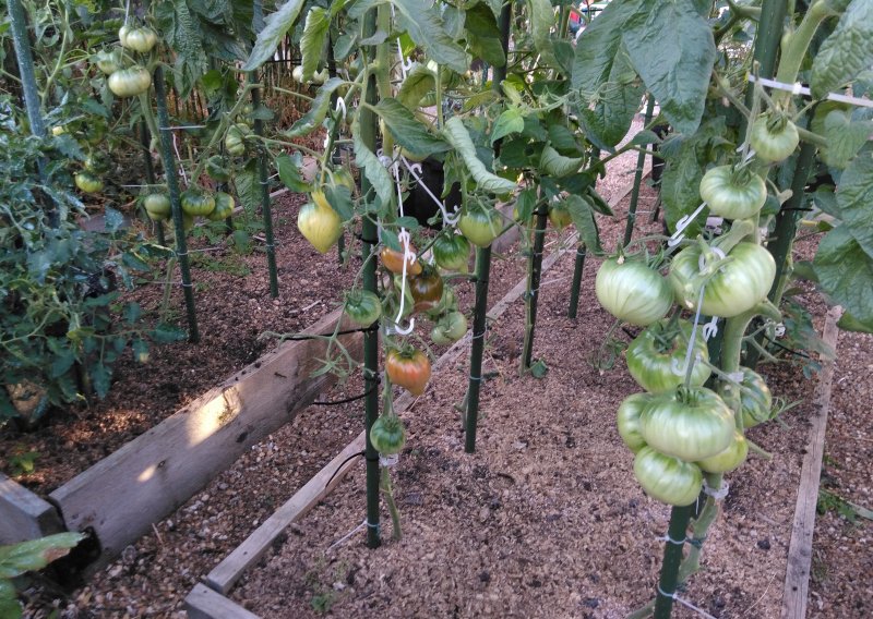 copper river left and right.jpg