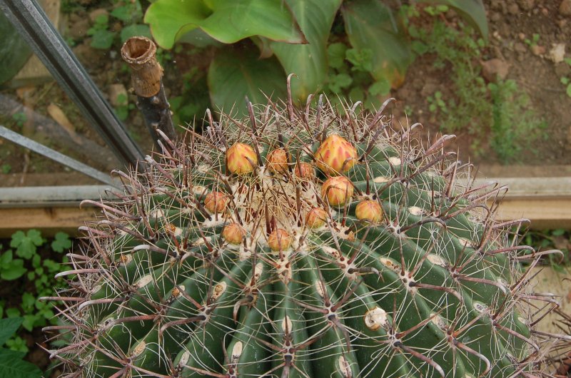 Copy of July 10 300.jpg