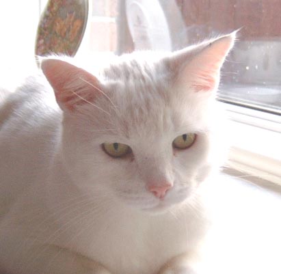 Copy of Oscar's passport 1.jpg