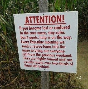 Corn Maze.jpg
