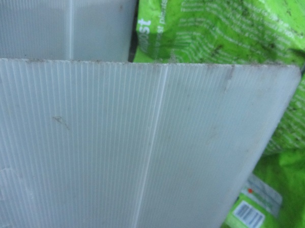 corrugated plastic sheet.jpg