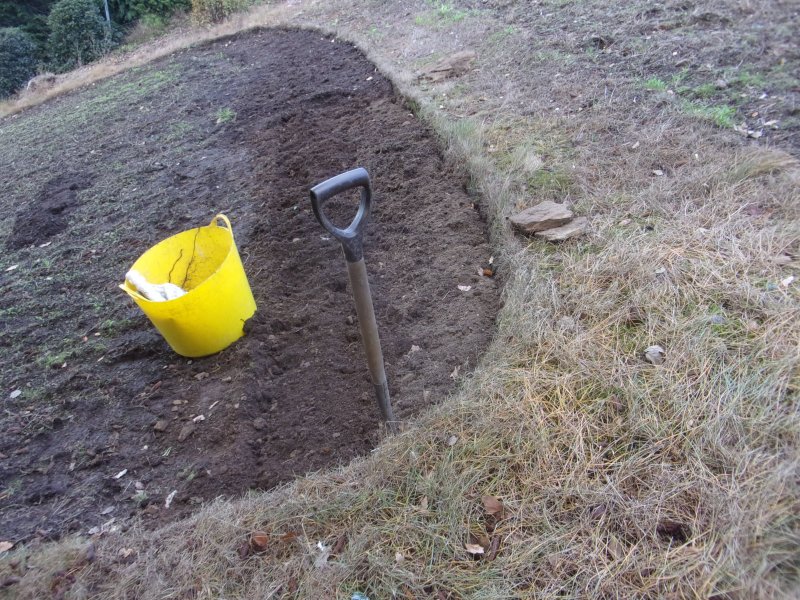 Couch grass.._615.JPG