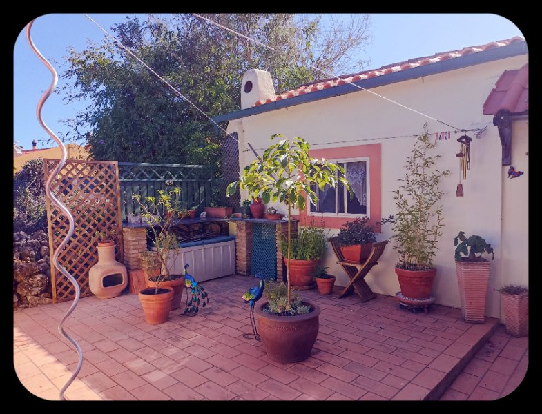 Courrtyard 26 Jun 22.jpg