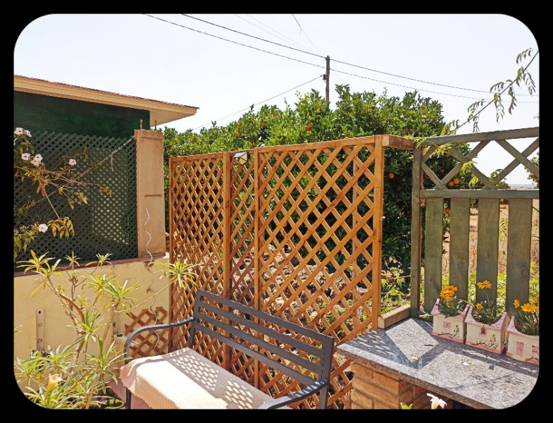 Courrtyard Trelis2 16 Jul 22.jpg