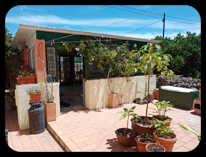 Courtyard 6 Jun 22.jpg