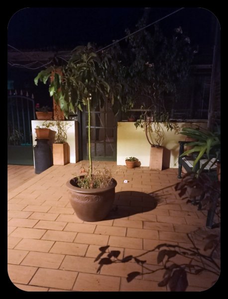 Courtyard at Night1 27 Oct 21.jpg