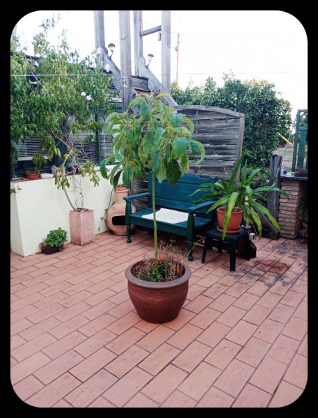 Courtyard in Day1 27 Oct 21.jpg