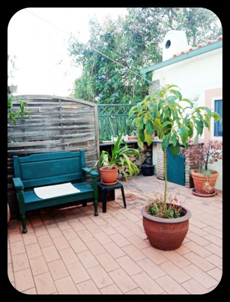 Courtyard in Day3 28 Oct 21.jpg