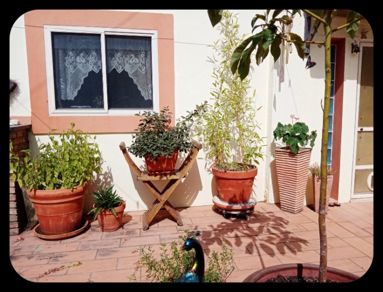 Courtyard Kitchen3 14 Jul 22.jpg