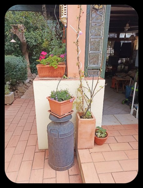 Courtyard Pots2 29 Oct 21.jpg