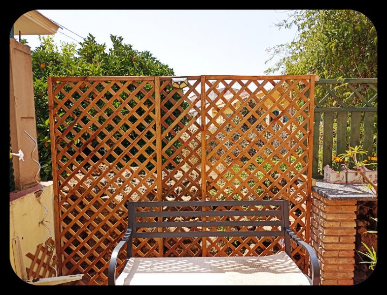 Courtyard Trellis 16 Jul 22.jpg