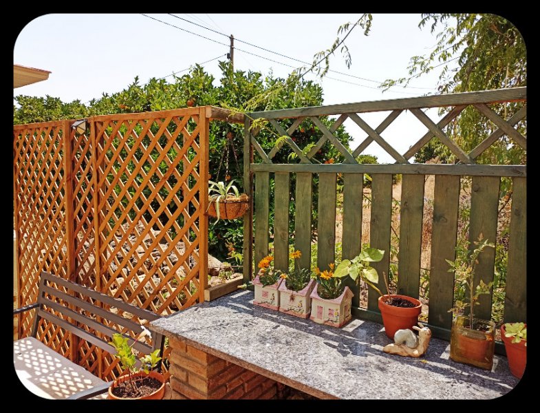 Courtyard Trellis 2 16 Jul 22.jpg