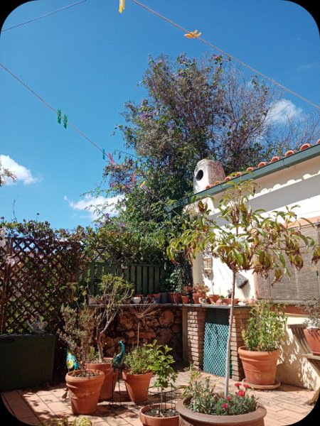 Courtyard1 18 May 24.jpg