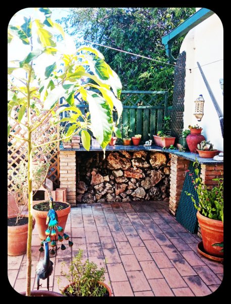 Courtyard1 27 Jun 22.jpg